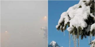 Fog Alert 4 Dec 2025: यूपी में पूर्वांचल से लेकर पश्चिमी राजस्थान, दिल्ली तक कोहराम मचाएगा कोहरा! पहाड़ों में पाला गिरने से सुन्न पड़ेंगे हाथ-पैर; देखें रिपोर्ट Fog Alert 4 Dec 2025