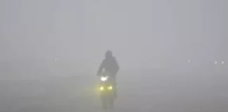 Fog Alert 6 Dec 2025: बिहार, झारखंड में घने कोहरे के साथ पाला पड़ने की चेतावनी, तो इन राज्यों में मूसलाधार बारिश ने बढ़ाई चिंता; चेक करें वेदर रिपोर्ट Fog Alert 6 Dec 2025