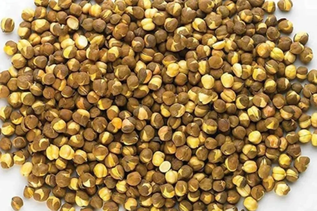 Gorakhpur Chana News