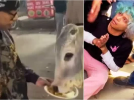 Gurugram Viral Video