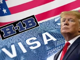 H-1B Visa