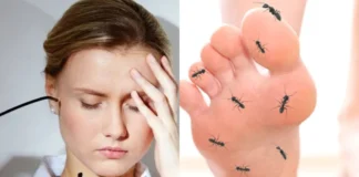 Leg Tingling: सिर से लेकर पैरों तक की झनझनाहट और सुन्नपन पर ये देसी इलाज लगाएंगे लगाम , डॉक्टर ने बताया महंगी दवाओं से मुक्ति पाने का बेहद आसान तारीका