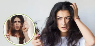 Hair Fall: ठंड में बाल टूटने से परेशान लोगों के लिए गेमचेंजर है ये 3 टिप्स, आयुर्वेदिक एक्सपर्ट से जानें क्या करें Hair Fall