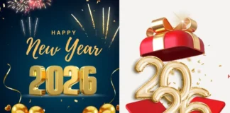 Happy New Year 2026 की पार्टी के लिए मनमोहक है दिल्ली में ये वेन्यू, बजट में दोस्त और प्यार के साथ करें नए साल का आगाज Happy New Year 2026