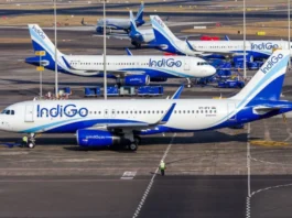 Indigo