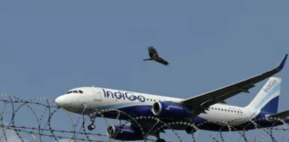Indigo की बढ़ेगी मुसीबत! 4 अधिकारी निलंबित, क्या सीईओ पर गिरेगी गाज? बड़े एक्शन की तैयारी में नागरिक उड्डयन मंत्री राममोहन नायडू; जानें पूरी डिटेल Indigo