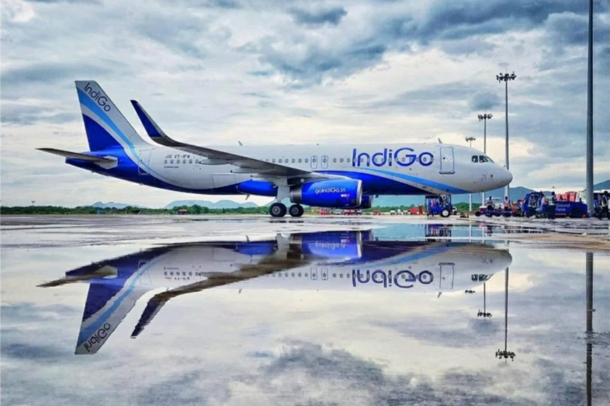 Indigo Indigo