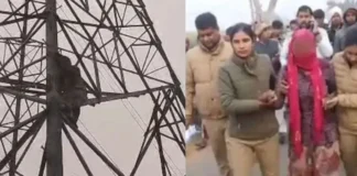 Meerut Viral Video: सर्दी में शादी के लिए बौराई लड़की! टॉवर पर चढ़कर काटा बवाल, देखें वीडियो Meerut Viral Video