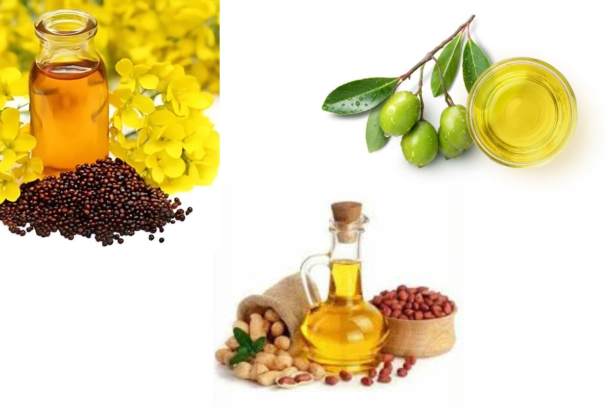 Mustard Oil vs Groundnut Oil vs Olive Oil