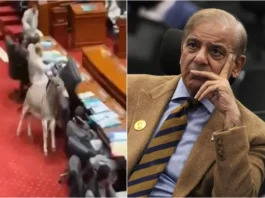 Pakistan Parliament Viral Video