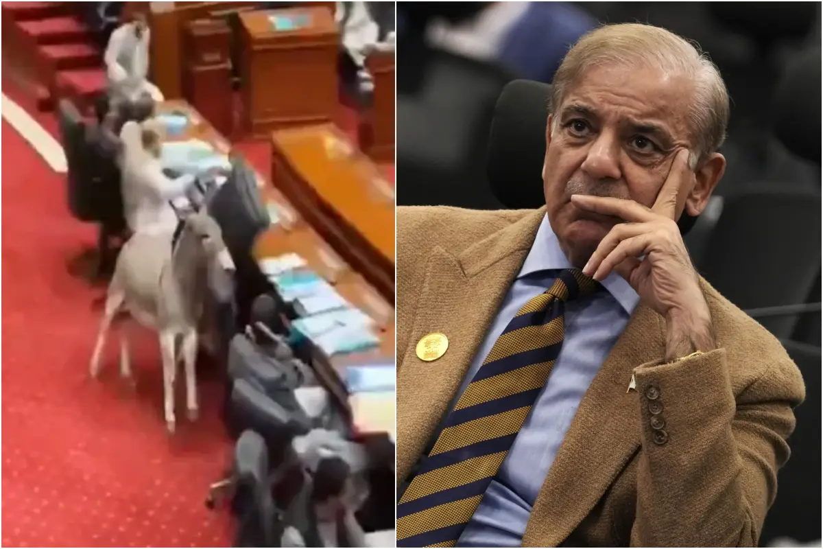 Pakistan Parliament Viral Video Pakistan Parliament Viral Video