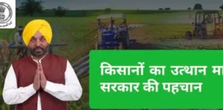 Punjab News: मान सरकार की पहल से किसानों में खुशी की लहर, दशकों बाद खेतों में पहुंचा नहरी पानी! सिंचाई बदलाव का रिकॉर्ड-तोड़ असर आया नज़र Punjab News