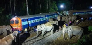 Rajdhani Express: 2025 जाते-जाते क्या-क्या दिखाएगा? ट्रेन की चपेट में आया हाथियों का झुंड, 5 कोच हुए बेपटरी; रेलवे ने दी बड़ी जानकारी Rajdhani Express