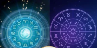 Rashifal 10 December 2025: बुधवार को मेष राशि लगाए ये पौधा तो कुंभ जातक के लिए ये है उपाय, जानें कैसे बदल सकते हैं बदकिस्मती Rashifal 10 December 2025