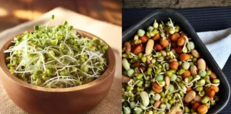 Sprouts खाना कर दें बंद! डायरिया और यूरिक एसिड की हो सकती है समस्या, 30 साल एक्सपीरियंस आयुर्वेदिक एक्सपर्ट ने बताई वजह Sprouts