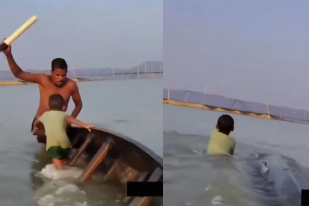 Viral Video Viral Video