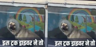 Viral Video: कुत्तों से इतनी मोहब्बत की ट्रक को ही बना दिया पिंजरा, इंसानियत देख ठोकेंगे सलाम Viral Video
