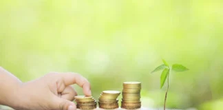 Chief Minister Pension Scheme: छत्तीसगढ़ में इस पेंशन स्कीम के लाभार्थियों की बल्ले-बल्ले! जानें क्या है एलिजिबिलिटी क्राइटेरिया, देखें डिटेल्स Pension Scheme (प्रतीकात्मक तस्वीर)