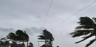 कल का मौसम 1 Jan 2026: सावधान! दिल्ली समेत इन राज्यों में बारिश, आंधी तूफान का अलर्ट, तो पहाड़ों पर पर्यटकों की बढ़ सकती है मुसीबत; चेक करें आईएमडी रिपोर्ट कल का मौसम 1 Jan 2026