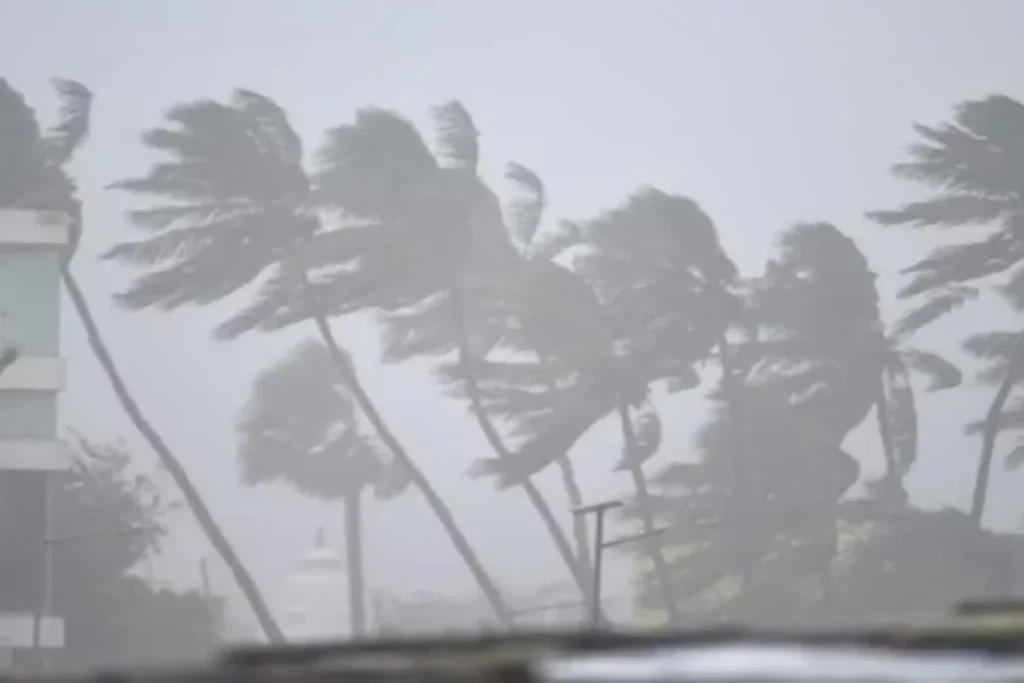 कल का मौसम 8 Jan 2026