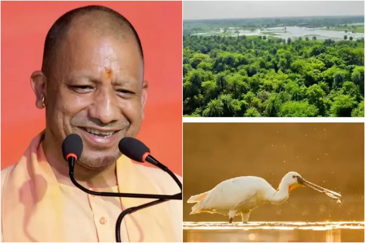CM Yogi Adityanath