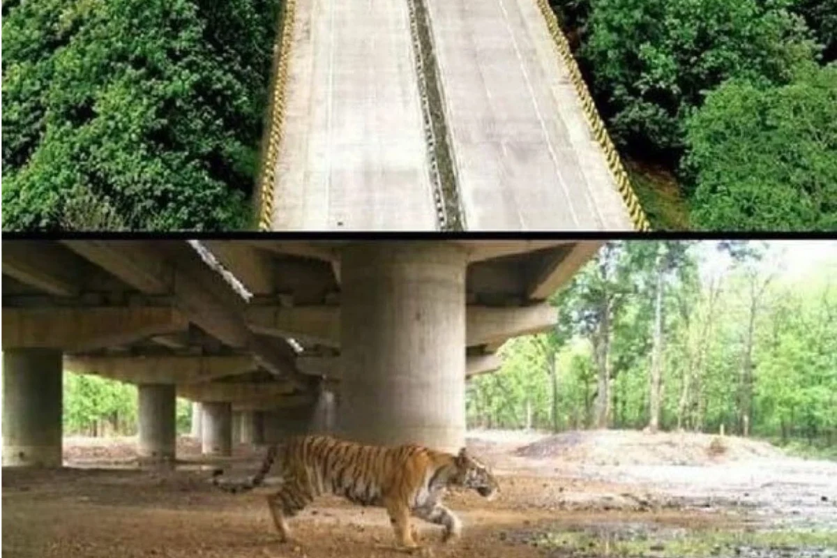 Delhi Dehradun Expressway Delhi Dehradun Expressway