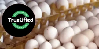 Egg Test: क्या आप भी कही से खरीद कर खा रहे अंडे, कहीं एगोज की तरह यह भी तो नहीं है कैंसर का घर Egg Test