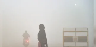 Fog Alert 16 Jan 2026: दिल्ली, हरियाणा समेत इन इलाकों में ठंड की दोहरी मार, तो इन जगहों पर घने कोहरे से मचेगी तबाही; जानें वेदर रिपोर्ट Fog Alert 16 Jan 2026