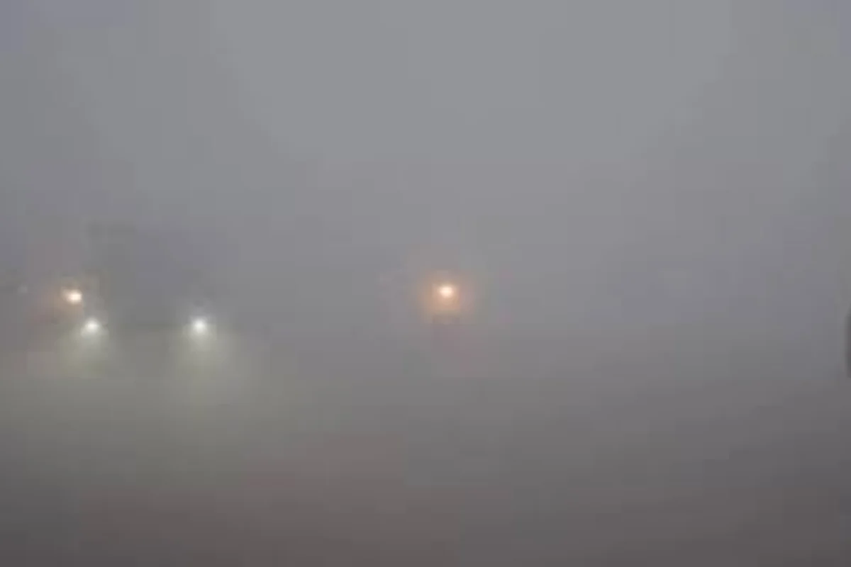 Fog Alert 19 Jan 2026