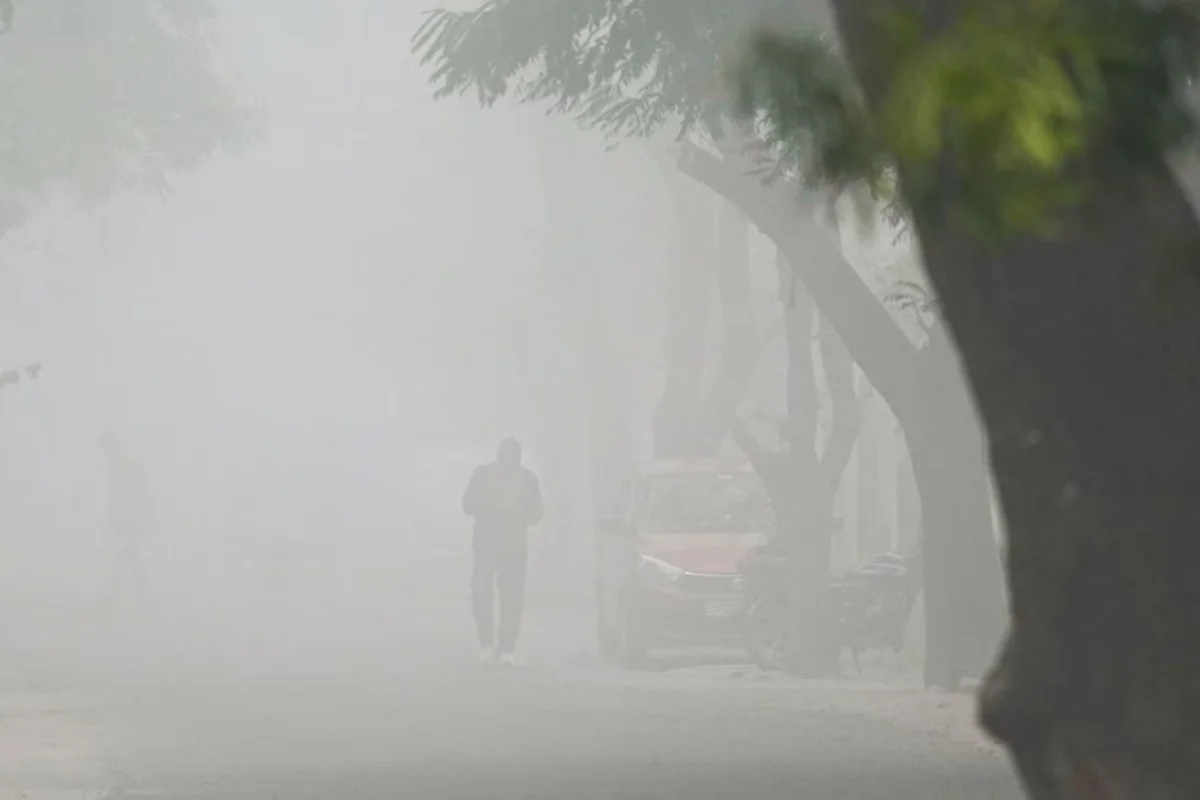 Fog Alert 22 Jan 2026