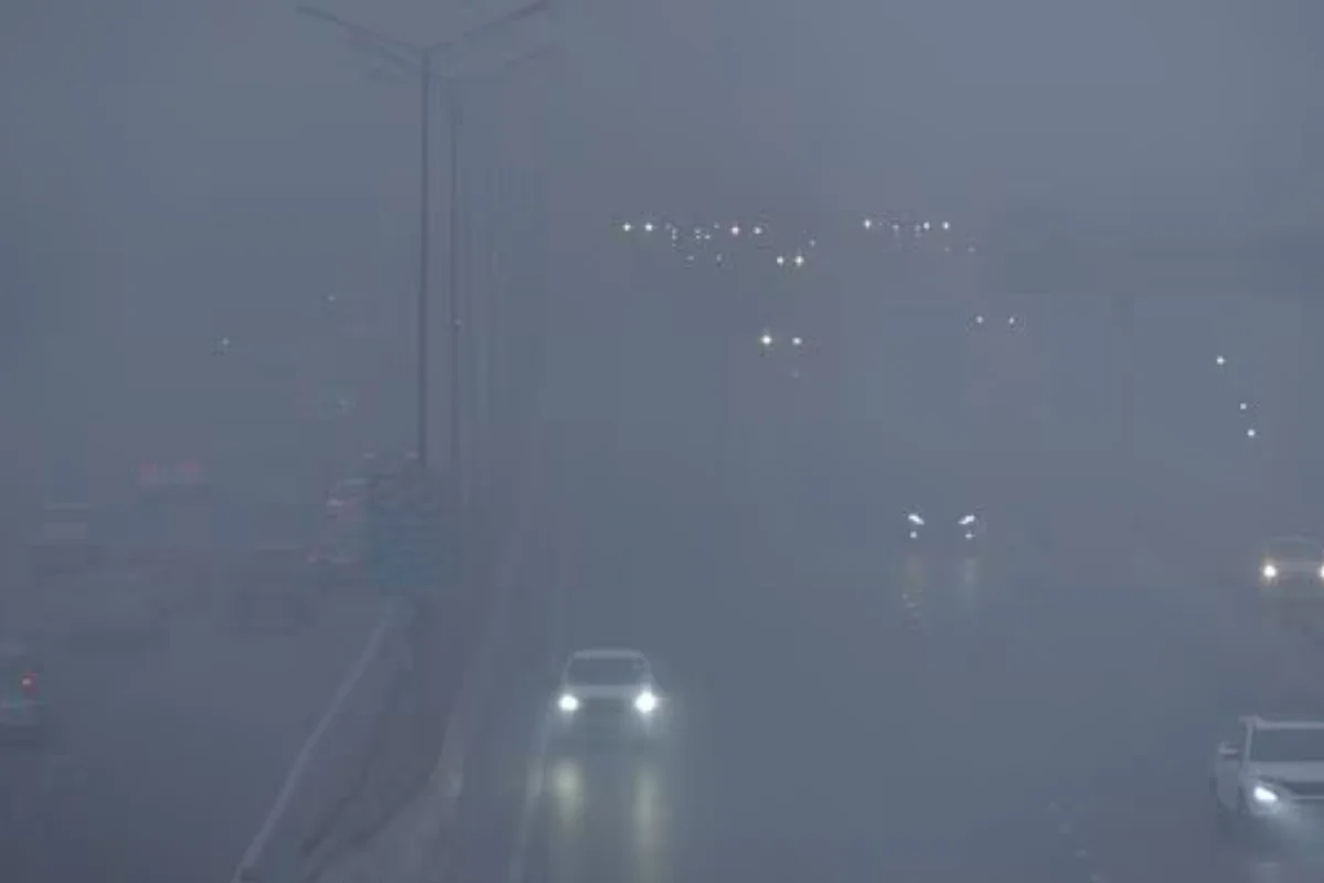 Fog Alert 25 Jan 2026