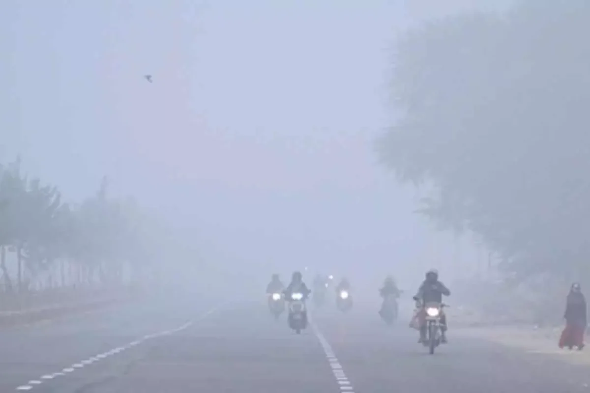 Fog Alert 29 Jan 2026