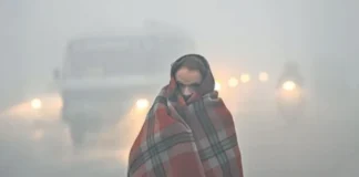 Fog Alert 9 Jan 2026: पंजाब से लेकर दिल्ली तक, ठंड ने छुड़ाई कंपकंपी, तो इन राज्यों में आईएमडी के अलर्ट से हाहाकार; जानें वेदर रिपोर्ट Fog Alert 9 Jan 2026