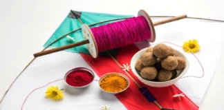 Makar Sankranti 2026: मकर संक्रांति पर पीला, भगवा या काला कौन सा रंग पहनने से मिलेगा लाभ? फटाफट जाने Makar Sankranti 2026