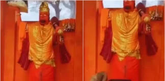 Nagina Viral Video: अद्भुत! हनुमान जी की प्रतिमा की परिक्रमा कर रहे कुत्ते को देखने उमड़ी भीड़, सोशल मीडिया सेंसेशन बना वायरल मामला Nagina Viral Video