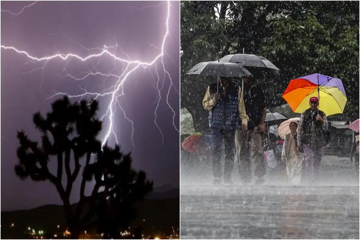 Rain Alert 1 Feb 2026