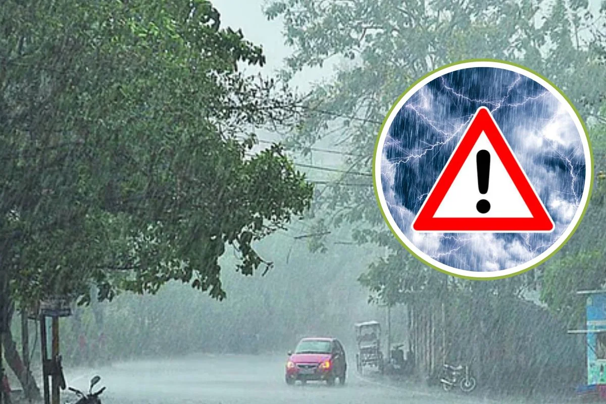 Rain Alert 31 Jan 2026