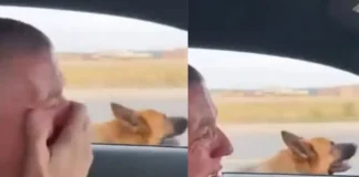 Viral Video: गाड़ी में फूट-फूटकर रोता रहा फौजी और पीछे दौड़ता रहा कुत्ता, आर्मी मैन के ट्रांसफर का वीडियो रुला रहा Viral Video