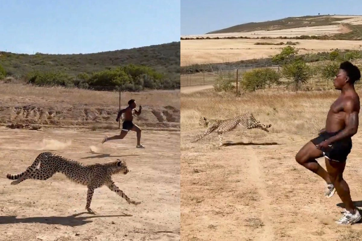 Viral Video Viral Video