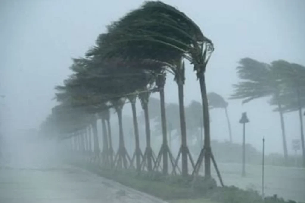 कल का मौसम 16 Feb 2026