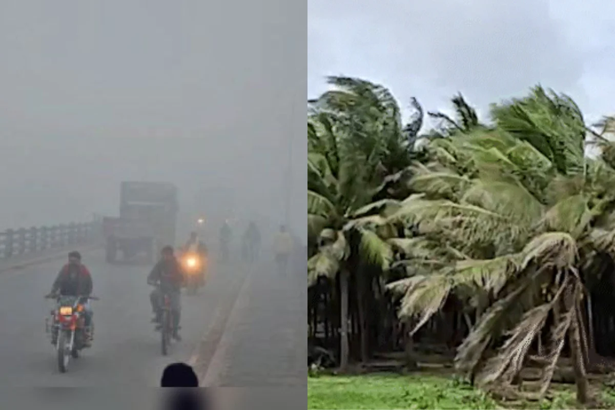 Fog Alert 13 Feb 2026