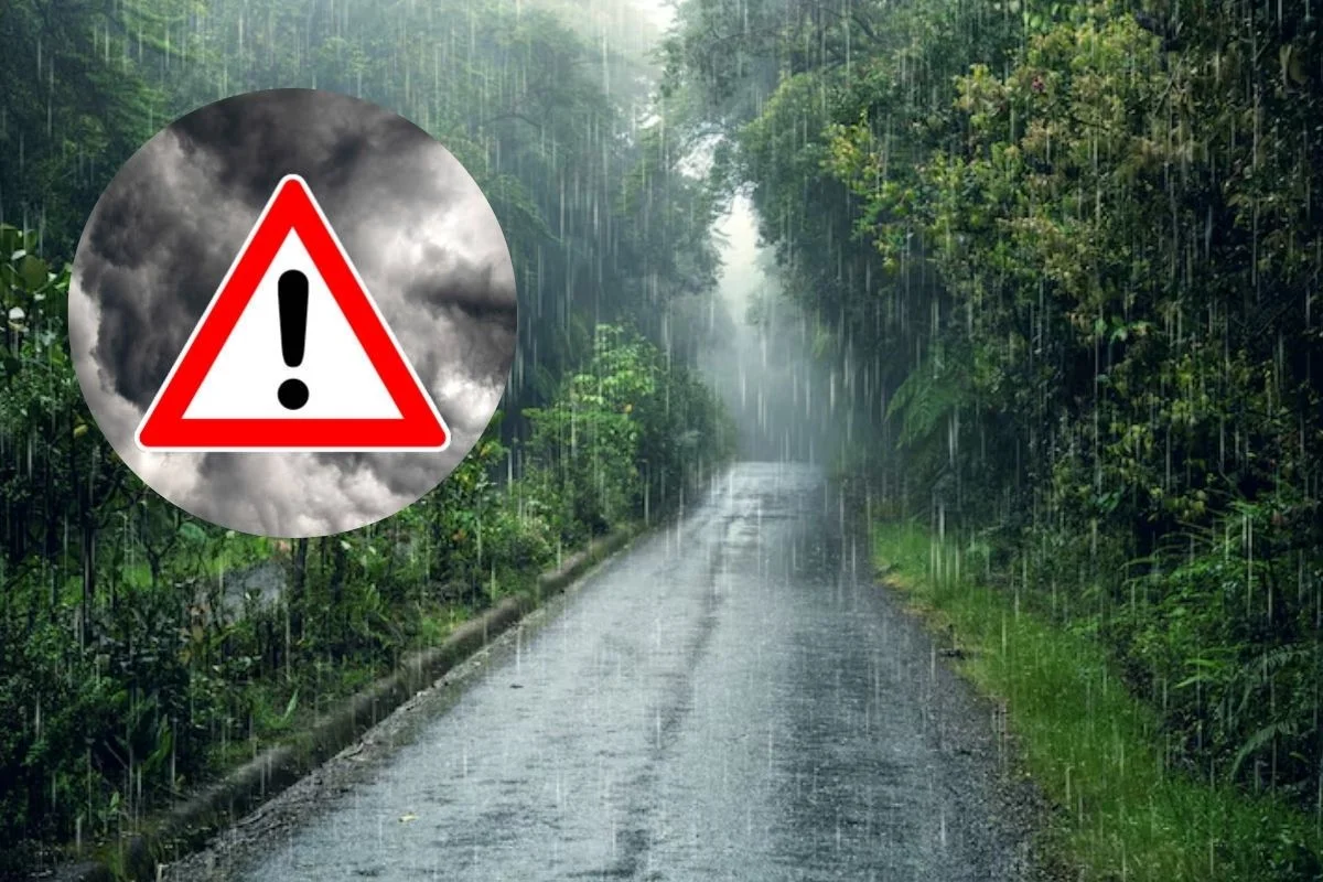 Rain Alert 20 Feb 2026