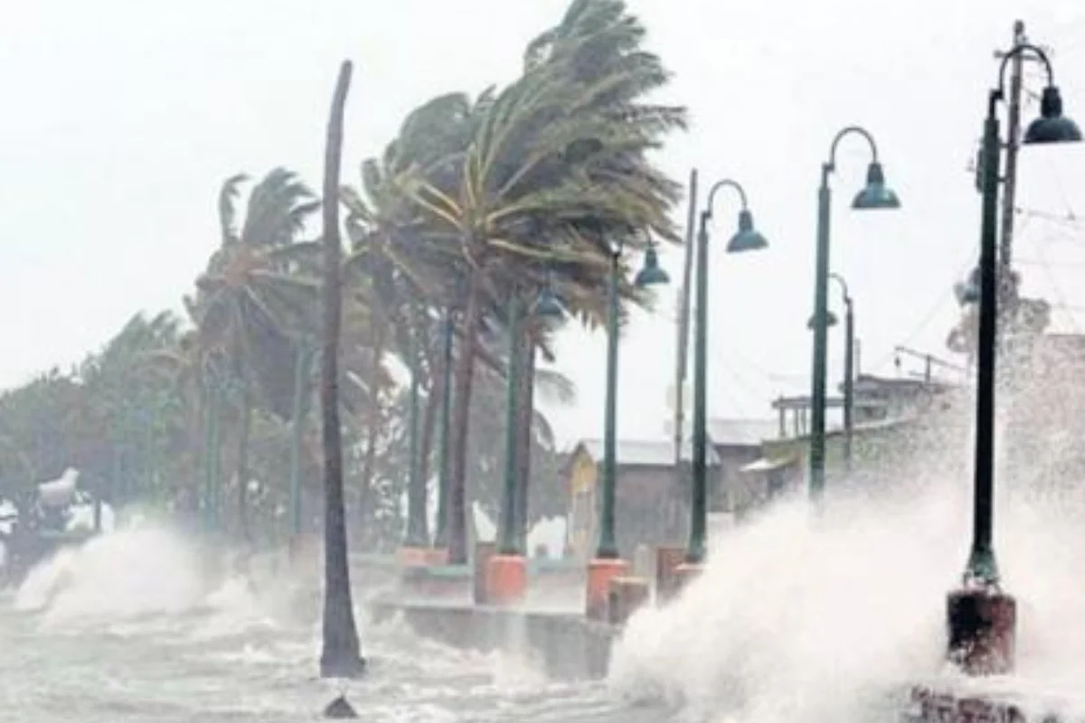 कल का मौसम 11 Feb 2026