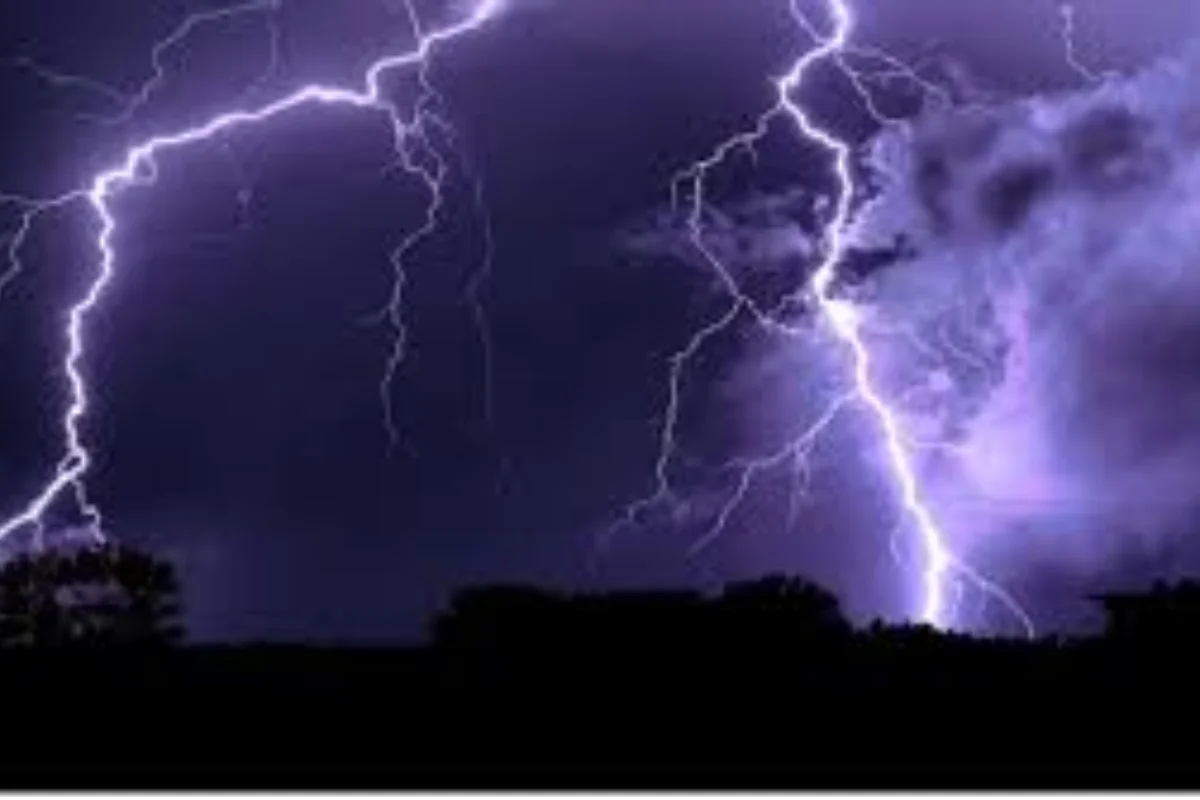 कल का मौसम 12 Feb 2026