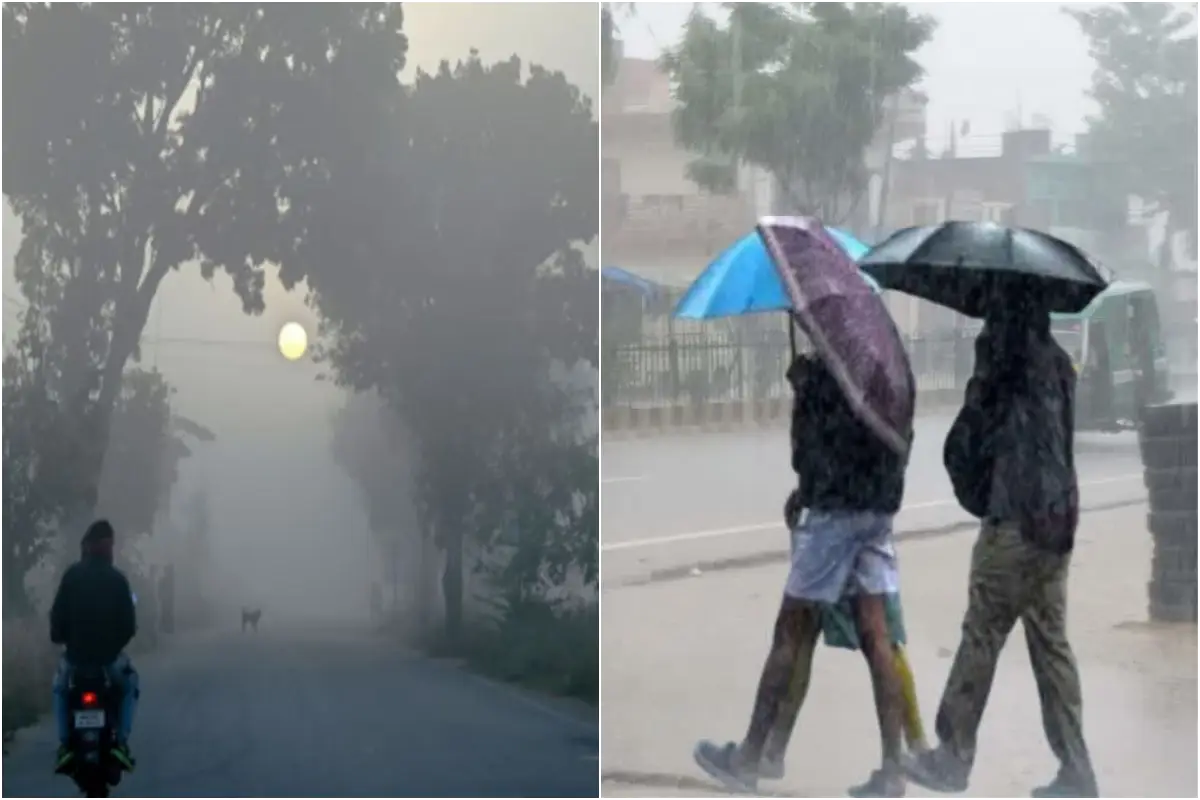 कल का मौसम 19 Feb 2026