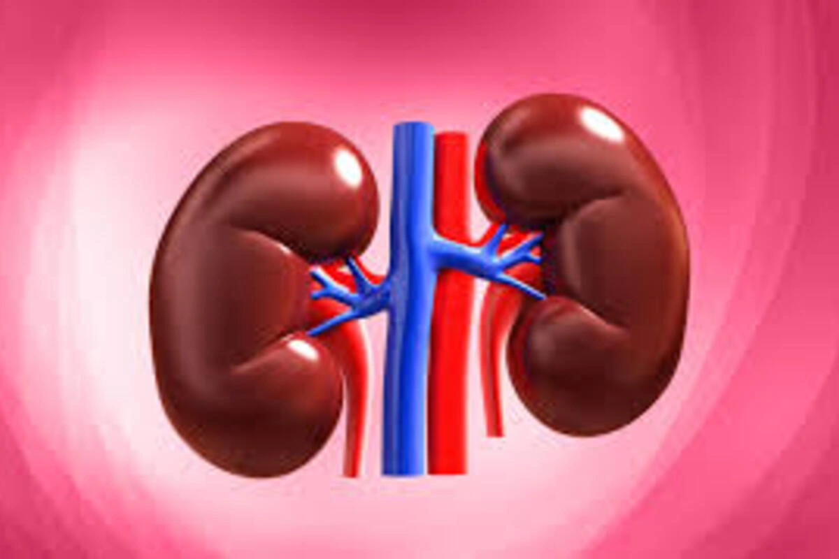 Kidney Health