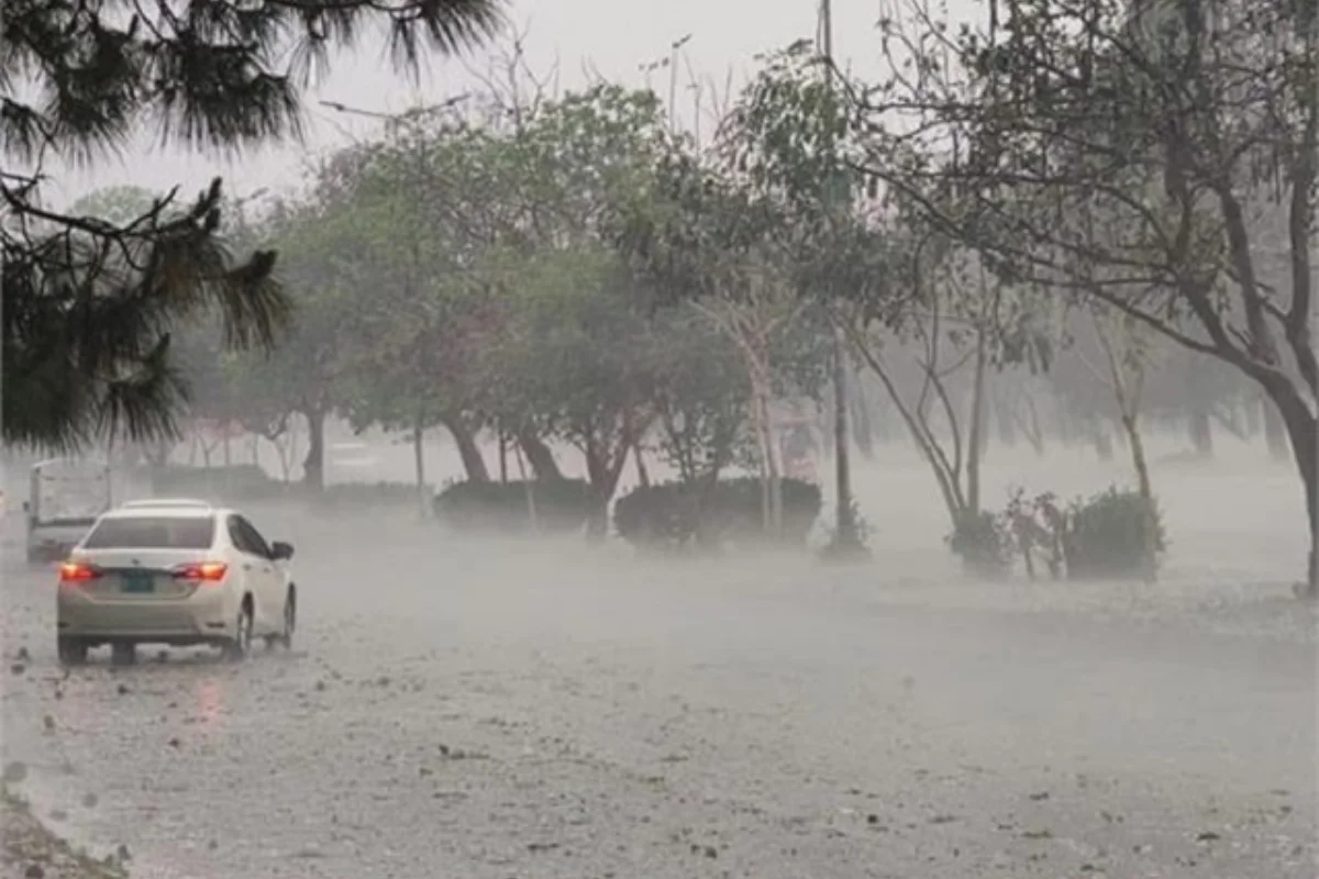 Rain Alert 23 March 2026