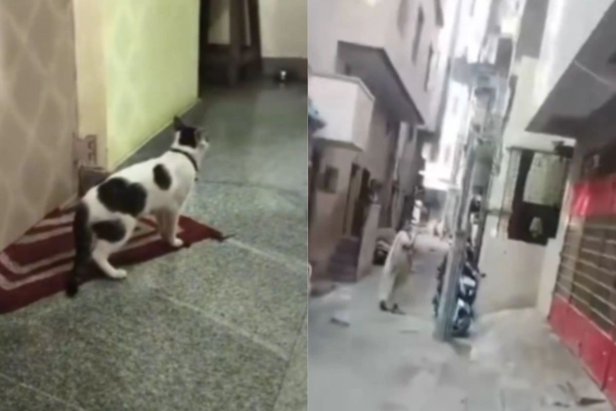 Bengaluru Viral Video