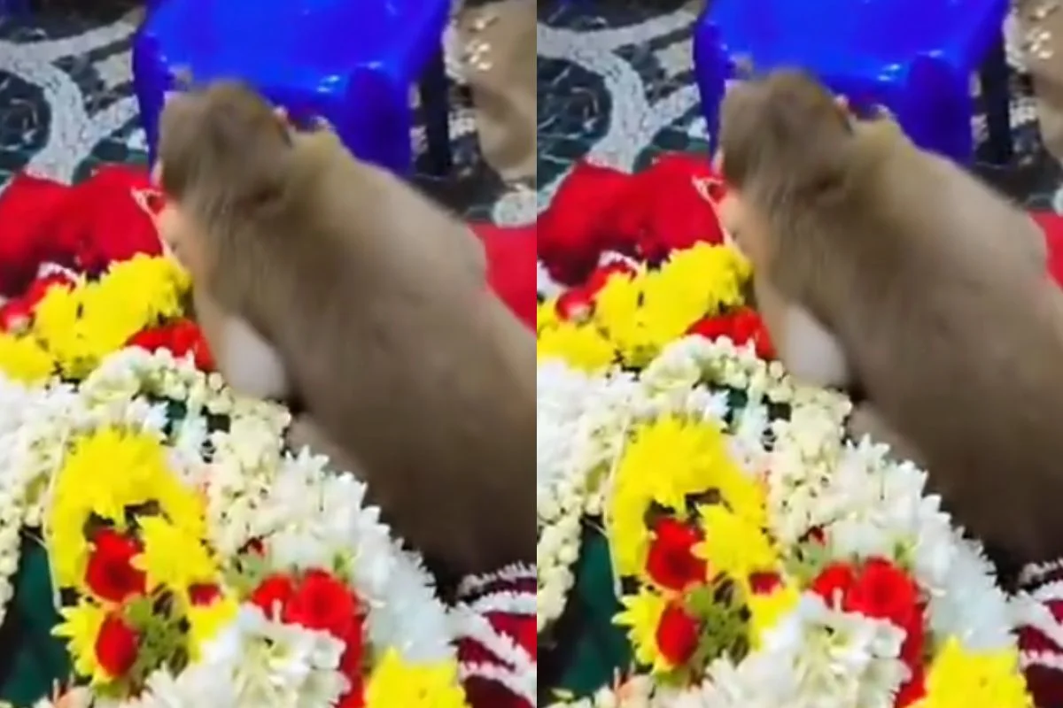 Bengaluru Viral Video