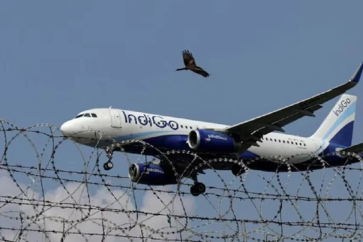 IndiGo
